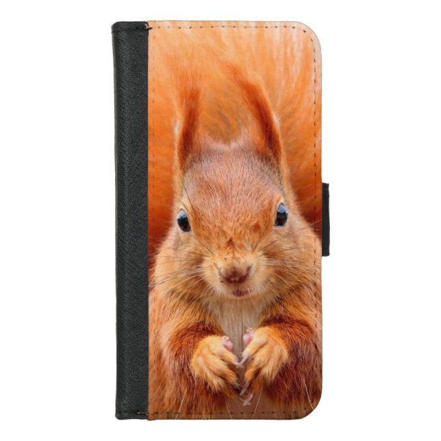 iPhone 8/7 Wallet Case (Front)