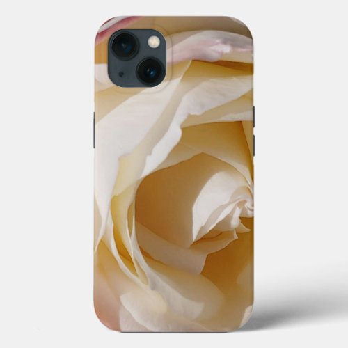iPhone case Lush Cream  Pink Rose in Bloom