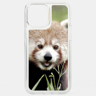 iPhone case Photo giant panda , animals.