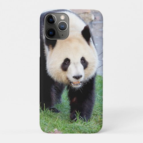 iPhone case Photo giant panda  animals