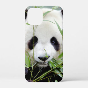 iPhone case Photo giant panda , animals.