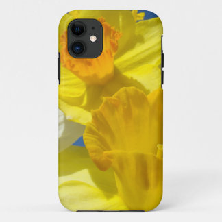 iPhone cases custom Yellow Daffodil Flowers