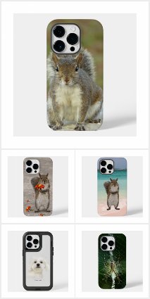 iPhone cases; iPhone Wallets; Laptop skins,decals