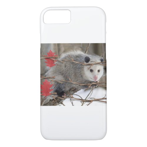 IPhone Cases Opossum Nature