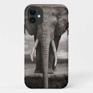 iphone, elephant iPhone 11 case