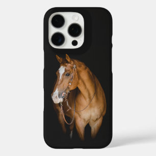 iPhone / iPad case