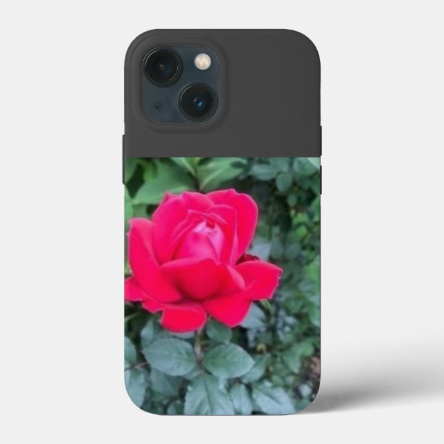 iPhone / iPad case (Back)