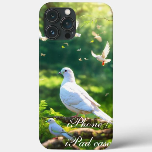 iPhone  iPad case