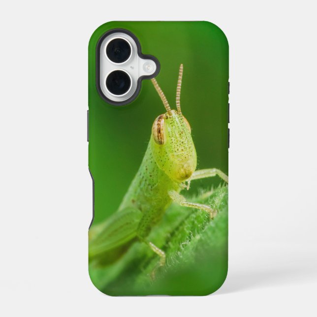 iPhone / iPad case (Back)