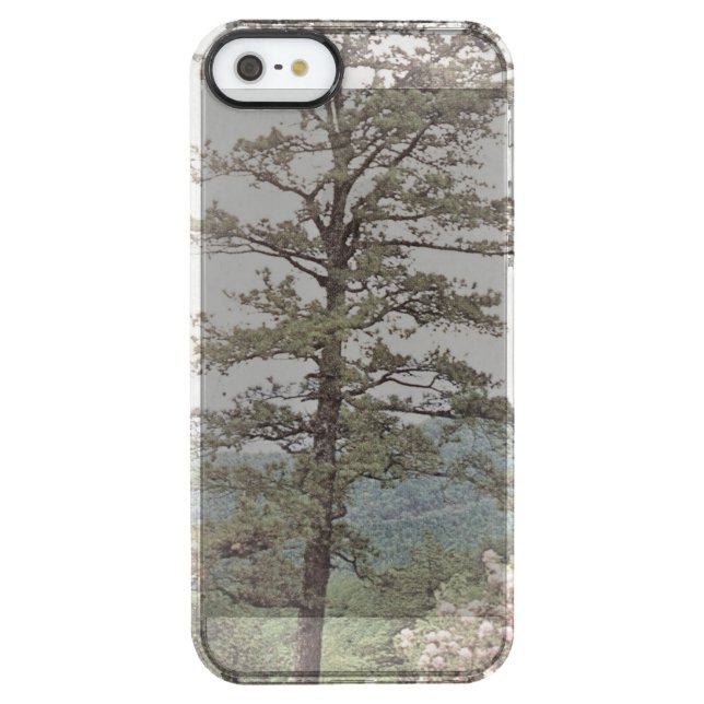iPhone SE (1ST GEN) Case (Back)