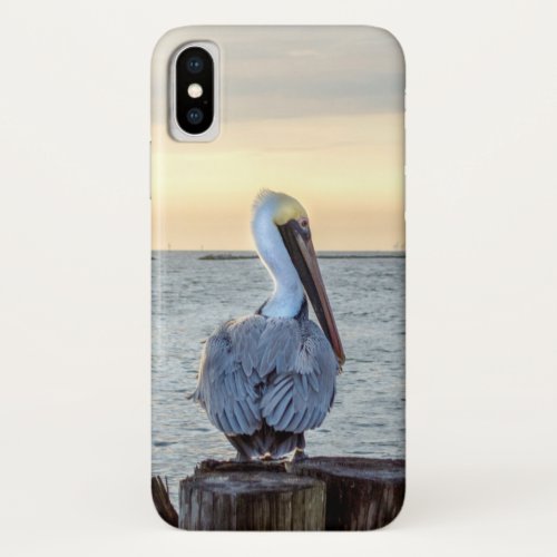 iPhone X Pelican Case