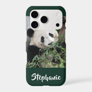 iPhone XS, XS Max, XR Case Panda Choose Color
