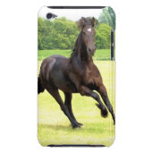 iPod Touch Case - Customized (Back)