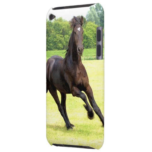 iPod Touch Case - Customized (Back Left)