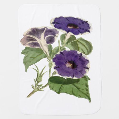 Ipomoea Limbata Floral Vector Art Baby Blanket