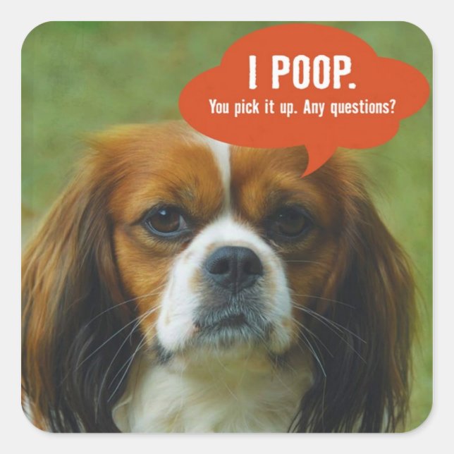 iPoop Spaniel Square Sticker (Front)
