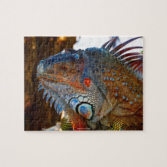 Iquana Florida Keys Jigsaw Puzzle (Horizontal)