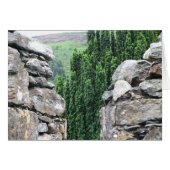Ireland 4 (Front Horizontal)
