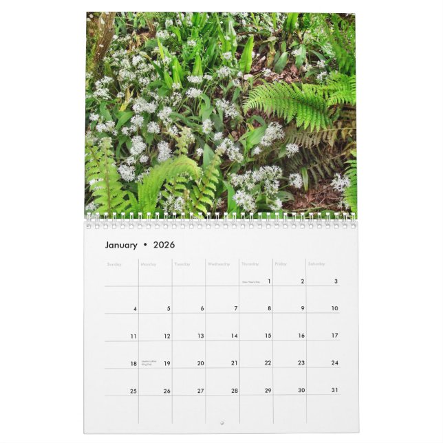 Ireland 40 Shades of Green Calendar (Jan 2026)