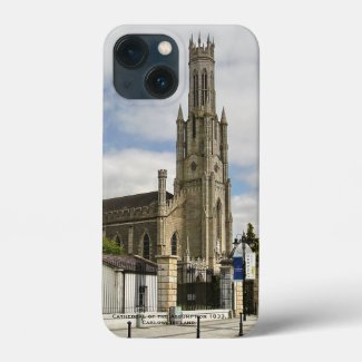 Ireland - Cathedral of The Assumption, Carlow Town iPhone 13 Mini Case