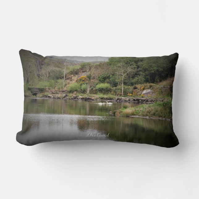 Ireland, County Cork, Lake, Swans, Photography Lumbar Pillow (Front)