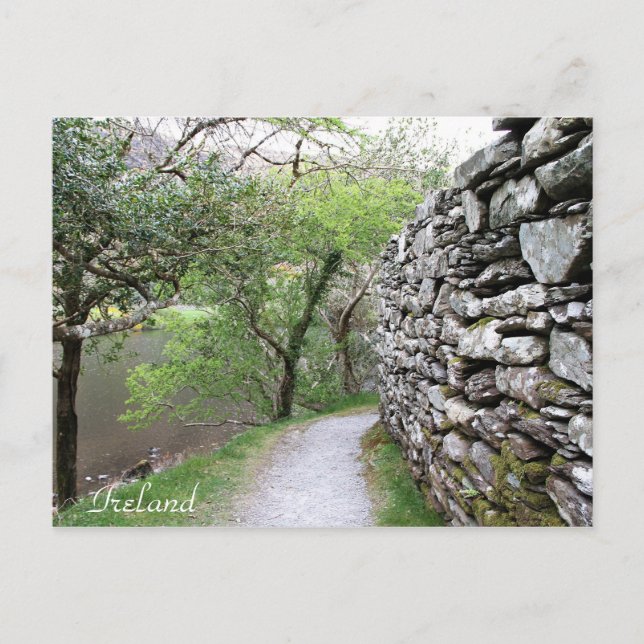 Ireland, County Cork, Stone Wall, Photography, Postcard (Front)