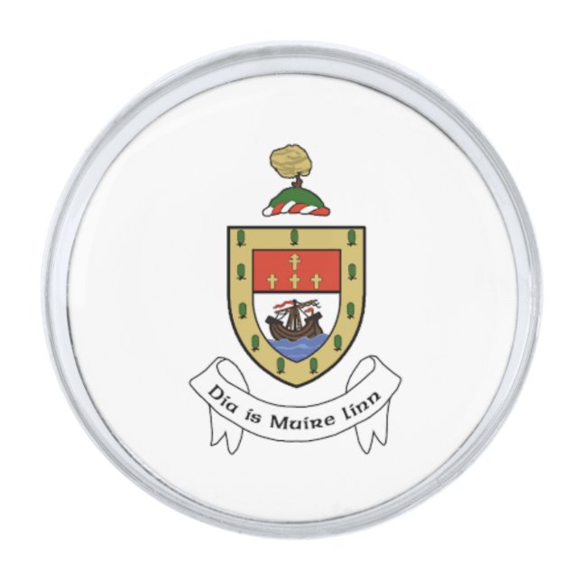 Ireland County Mayo Lapel Pin (Front)