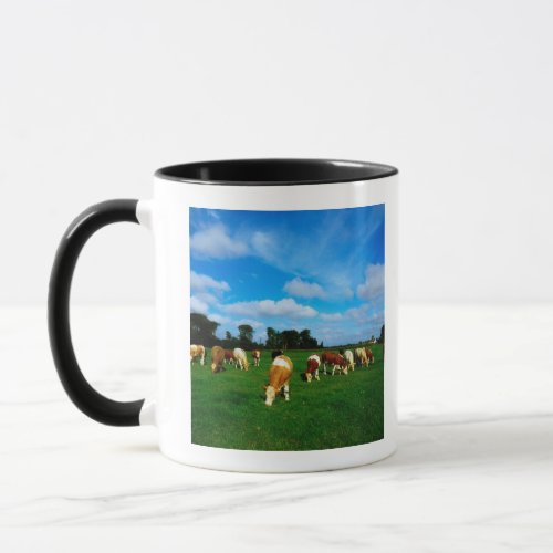 Ireland Herd Of Cattle Grazing Mug