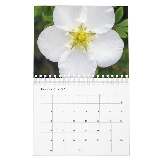 Ireland in Bloom Calendar (Jan 2027)