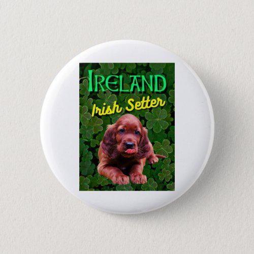 Ireland Irish Setter Clovers Shamrocks Button