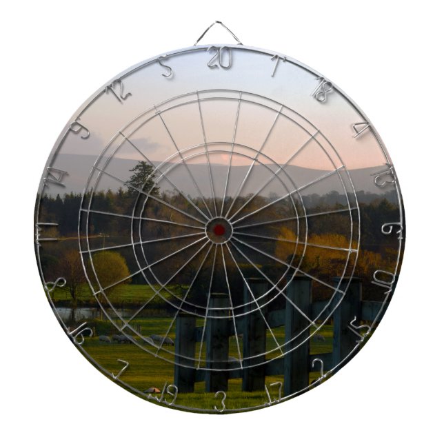 Ireland is Beautiful Dart Board (Front)