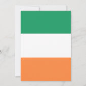 Ireland National Flag, Irish standard, Banner (Back)