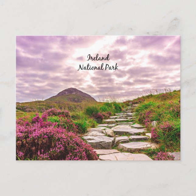 Ireland, National Park Postcard (Front)