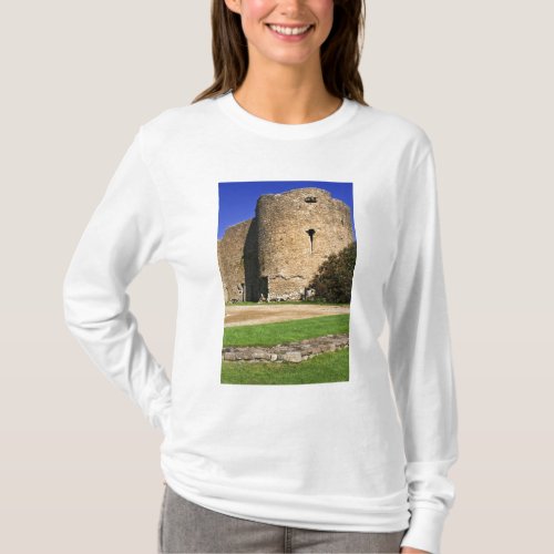 Ireland Roscommon View of Roscommon Castle T_Shirt