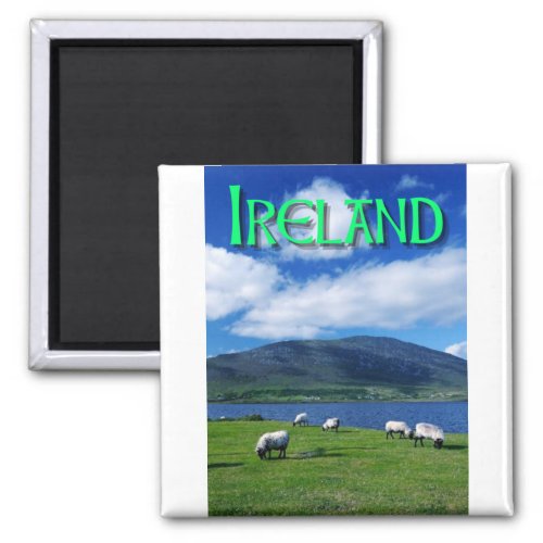 Ireland Sheep Magnet