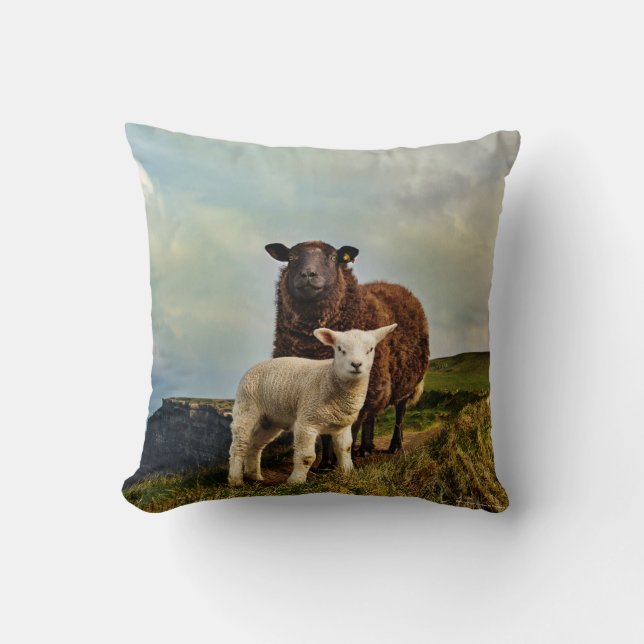 Ireland, Sheep, Throw Pillow (Front)