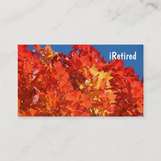 Customizable iRetired Business Cards Loving Life Having Fun