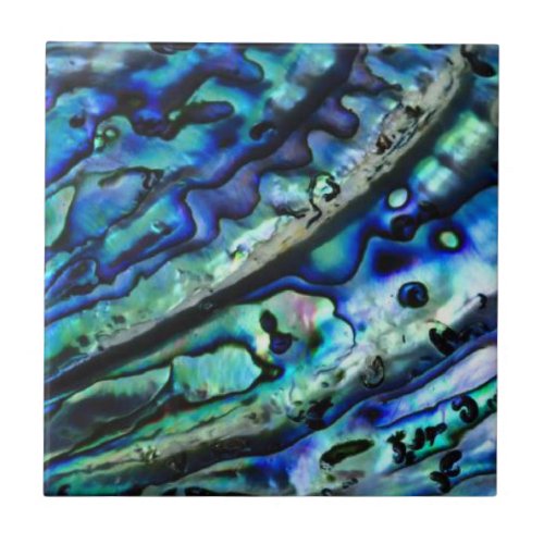 Iridescent Abalone Shell  Abstract Ceramic Tile