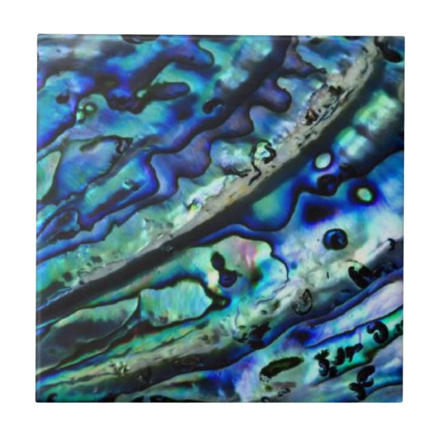 Iridescent Abalone Shell | Abstract Ceramic Tile (Front)