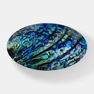 Iridescent Abalone Shell   Custom  Paperweight