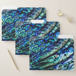 Iridescent Abalone Shell File Folders