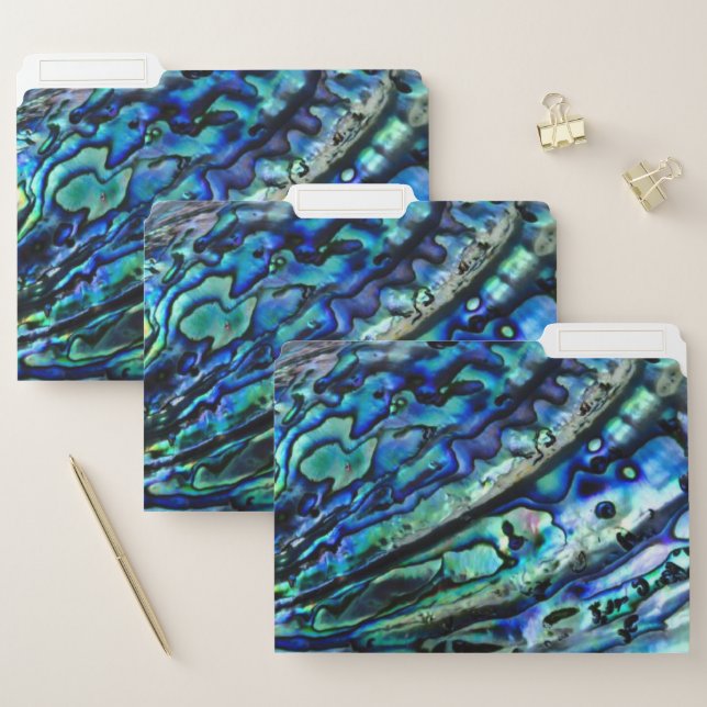 Iridescent Abalone Shell File Folders (Set)