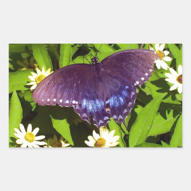 Iridescent Blue Purple with Black Butterfly Wings Rectangular Sticker (Front)