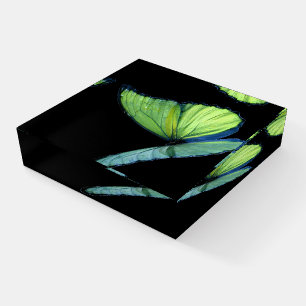 Iridescent butterfly paperweight