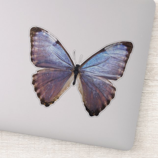 Iridescent Butterfly Sticker (Detail)