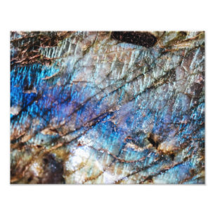 Iridescent Depths Photo Print