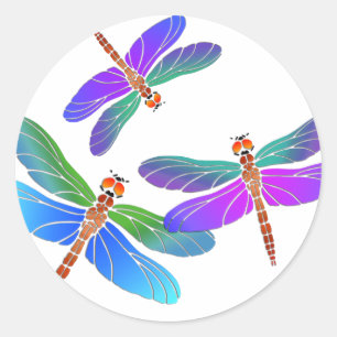 Iridescent Dive Bombing Dragonflies Classic Round Sticker