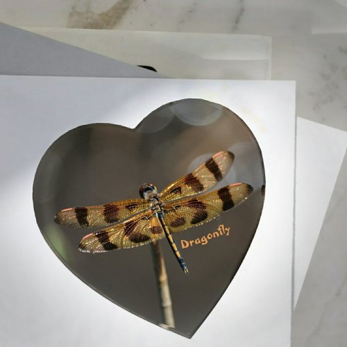 Iridescent Golden Dragonfly on Taupe Paperweight