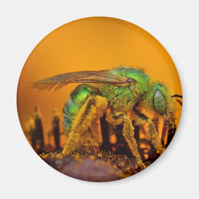 Iridescent Green Sweat Bees Magnet (Front)
