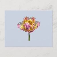 Iridescent holographic Ruffled Tulip